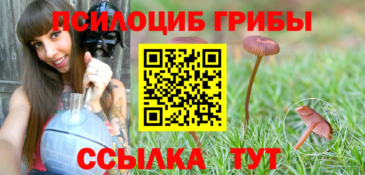 Ливны  Псилоцибиновые грибы GOLDEN TEACHER  Псилоцибиновые грибы GOLDEN TEACHER  Вход с VPN 